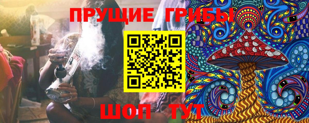 Галлюциногенные грибы прущие грибы  Псилоцибиновые грибы прущие грибы  Миллерово  купить наркоту  Вход с VPN 