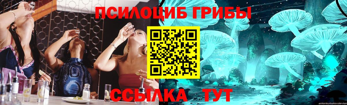 Галлюциногенные грибы GOLDEN TEACHER Миллерово